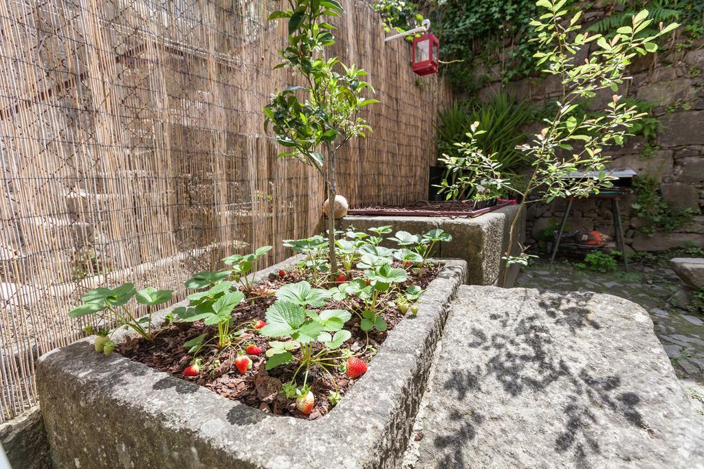 Bracara Hostel Braga Buitenkant foto